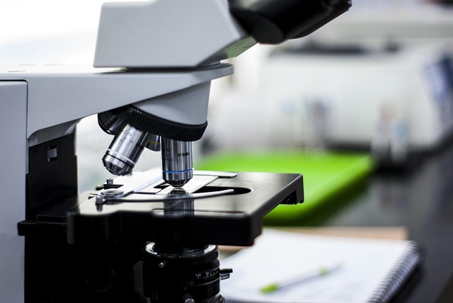 適用于聚氨酯涂料和膠黏劑的新癸酸鋅催化劑，提升初期強(qiáng)度