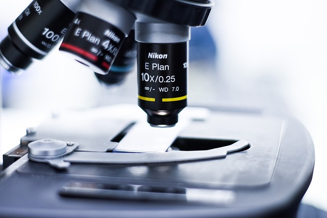 聚氨酯催化劑PT303對聚氨酯軟泡的孔隙結(jié)構(gòu)和物理機(jī)械性能的影響