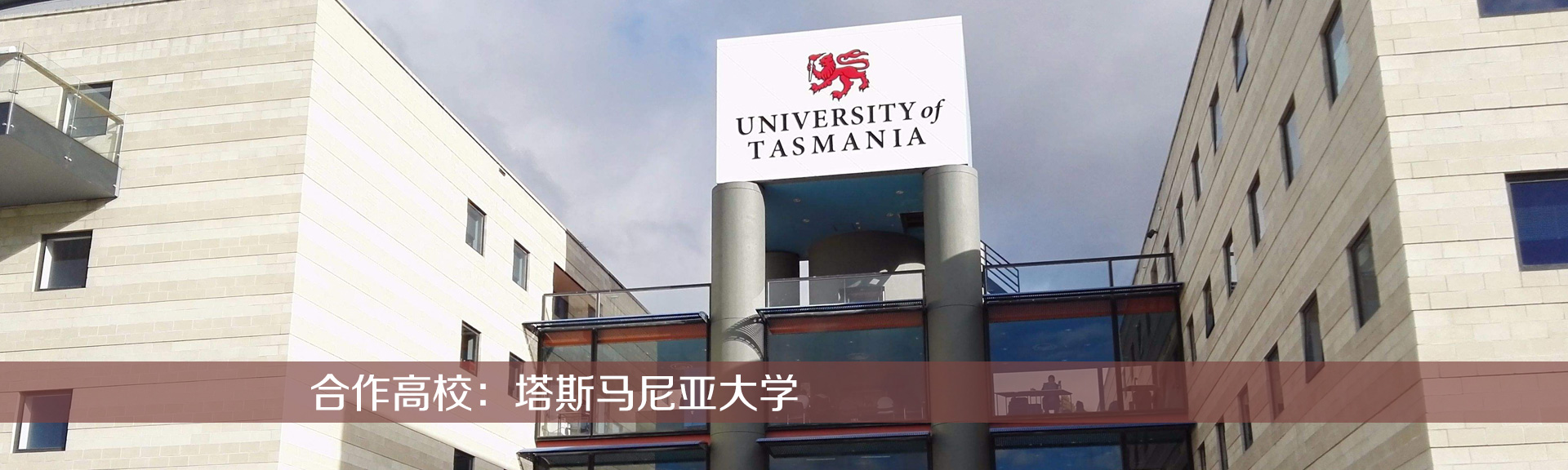 四甲基乙二胺 TEMED作為輔助催化劑在制備高回彈聚氨酯軟泡中的應(yīng)用