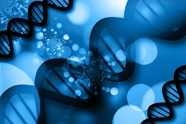 雙(二甲氨基丙基)異丙醇胺在汽車(chē)座椅、內(nèi)飾件和床墊制造中的應(yīng)用